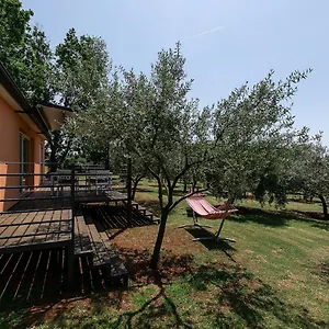 Apartment Sun Garden Premium